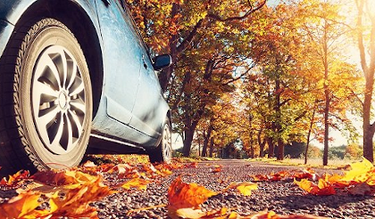 bloc_conseil_automne