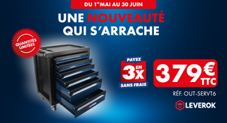 LE MEILLEUR DE LEVEROK